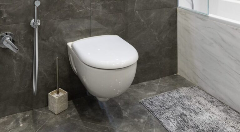 WC Ontstoppen